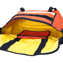 Load image into Gallery viewer, Manhattan Portage Pro Bike Messenger Bag with Stripes Medium - Lexington Luggage